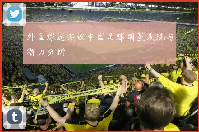 外国球迷热议中国足球明星表现与潜力分析
