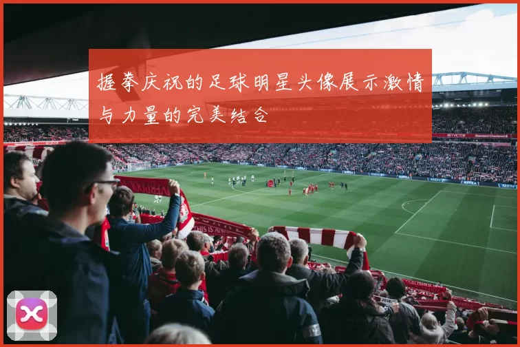 握拳庆祝的足球明星头像展示激情与力量的完美结合
