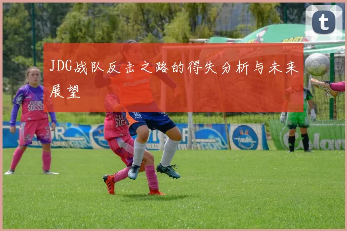 JDG战队反击之路的得失分析与未来展望