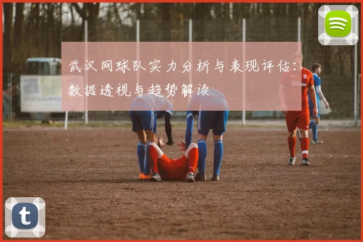 武汉网球队实力分析与表现评估：数据透视与趋势解读