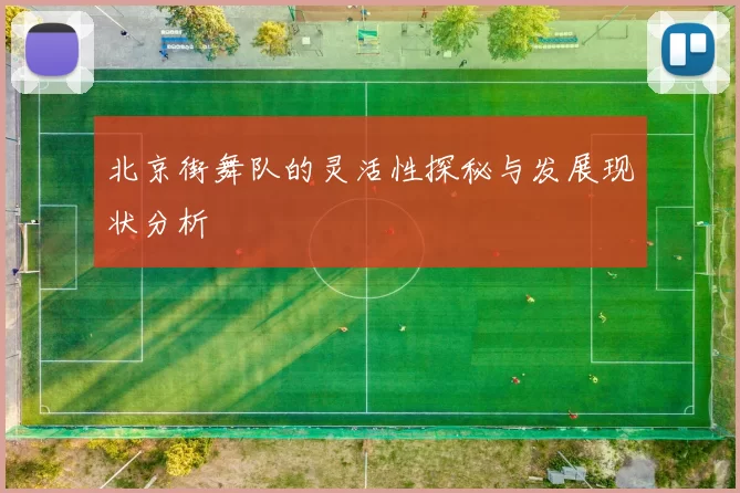 北京街舞队的灵活性探秘与发展现状分析