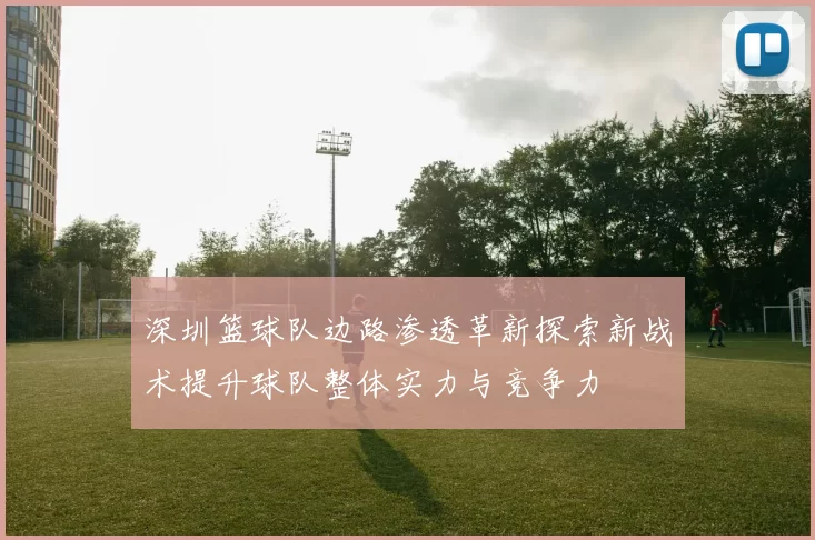 深圳篮球队边路渗透革新探索新战术提升球队整体实力与竞争力