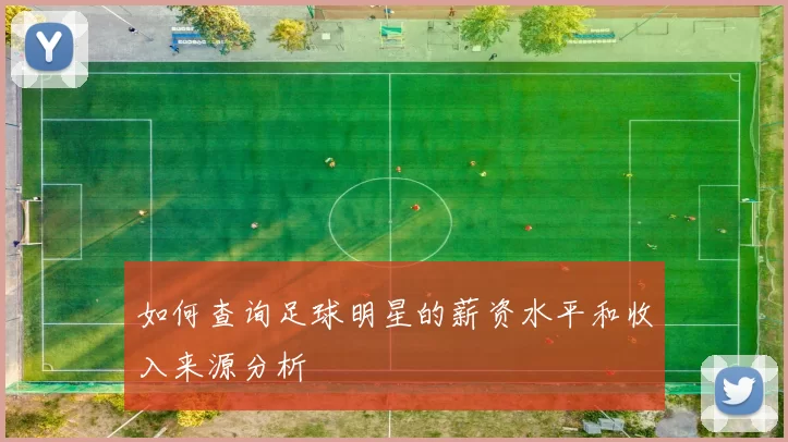 如何查询足球明星的薪资水平和收入来源分析