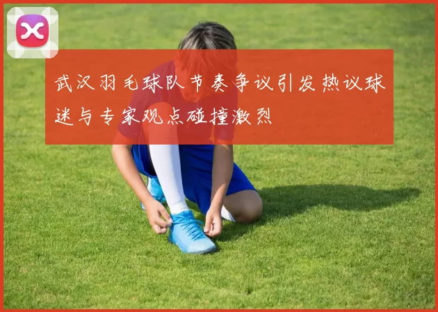 武汉羽毛球队节奏争议引发热议球迷与专家观点碰撞激烈
